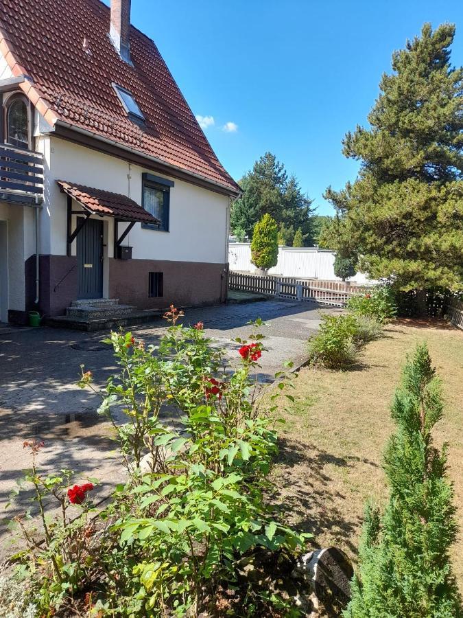 Ferienhaus International Bad Harzburg Eksteriør billede